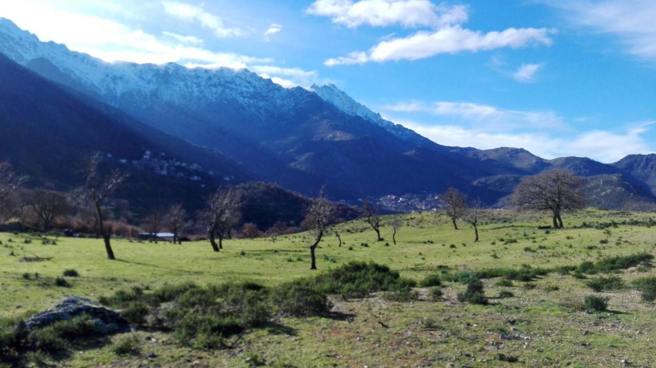 Appartement Raffine A Feliceto 120 M² Avec Vue Sur Montagne Esterno foto